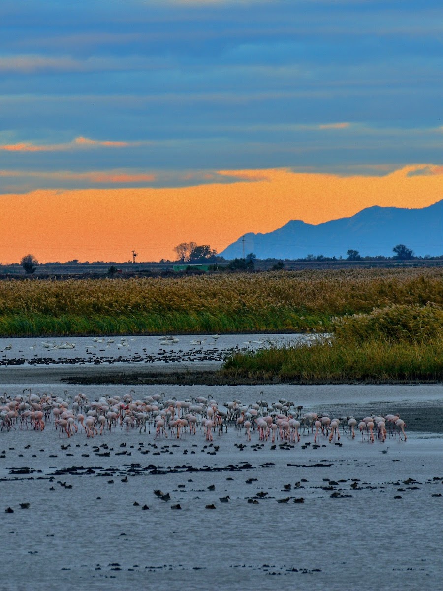 Gala Gölü Milli Parkı — fotoğraf 5