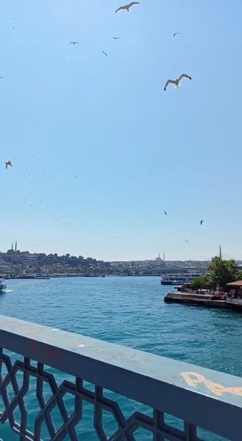Galata Köprüsü — photo 3