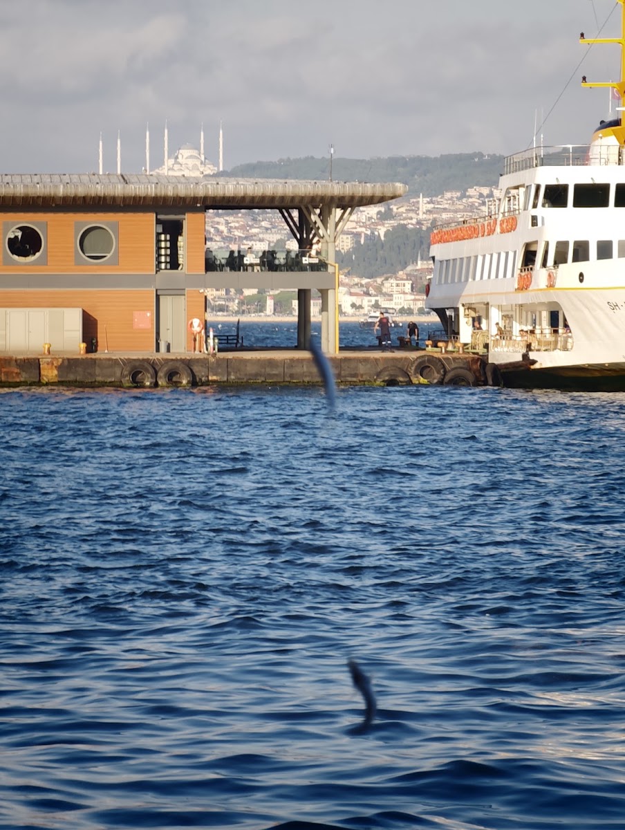 GALATA MİRAPORT RESTAURANT — photo 2