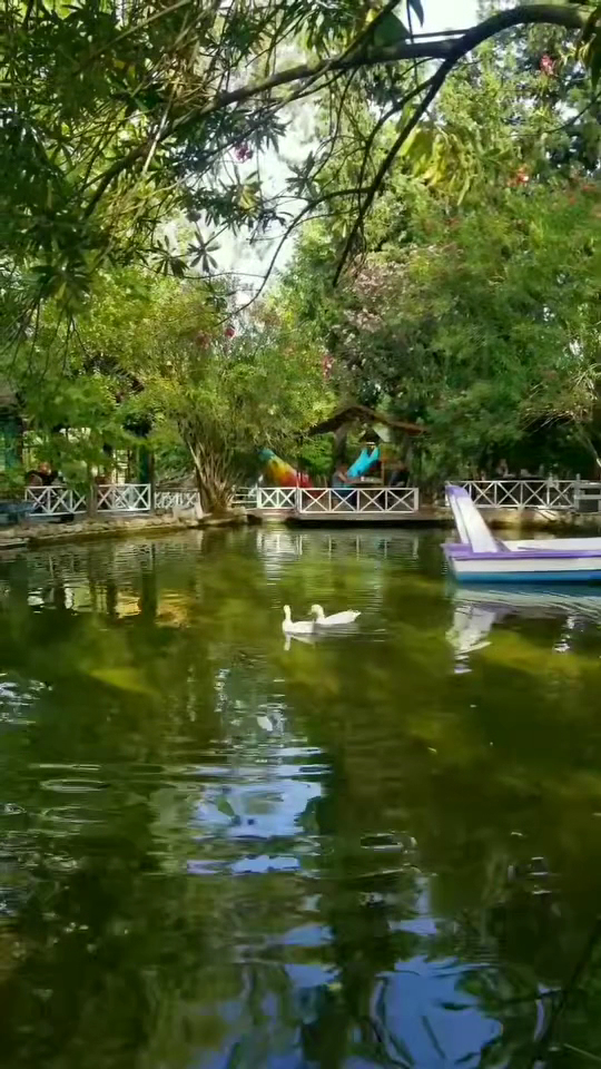 Gardenia Elvanlı — fotoğraf 7