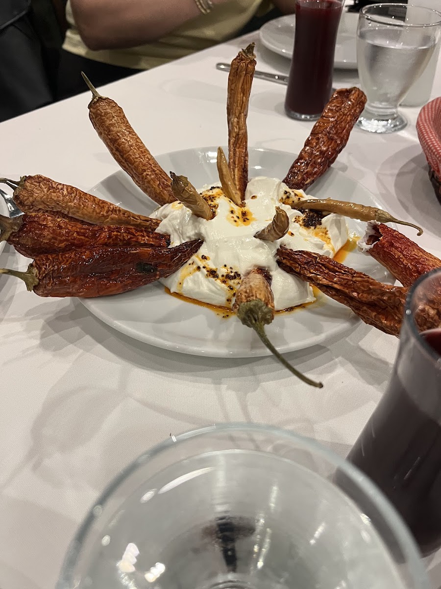 Garson Şükrü Aile Restaurant — fotoğraf 2