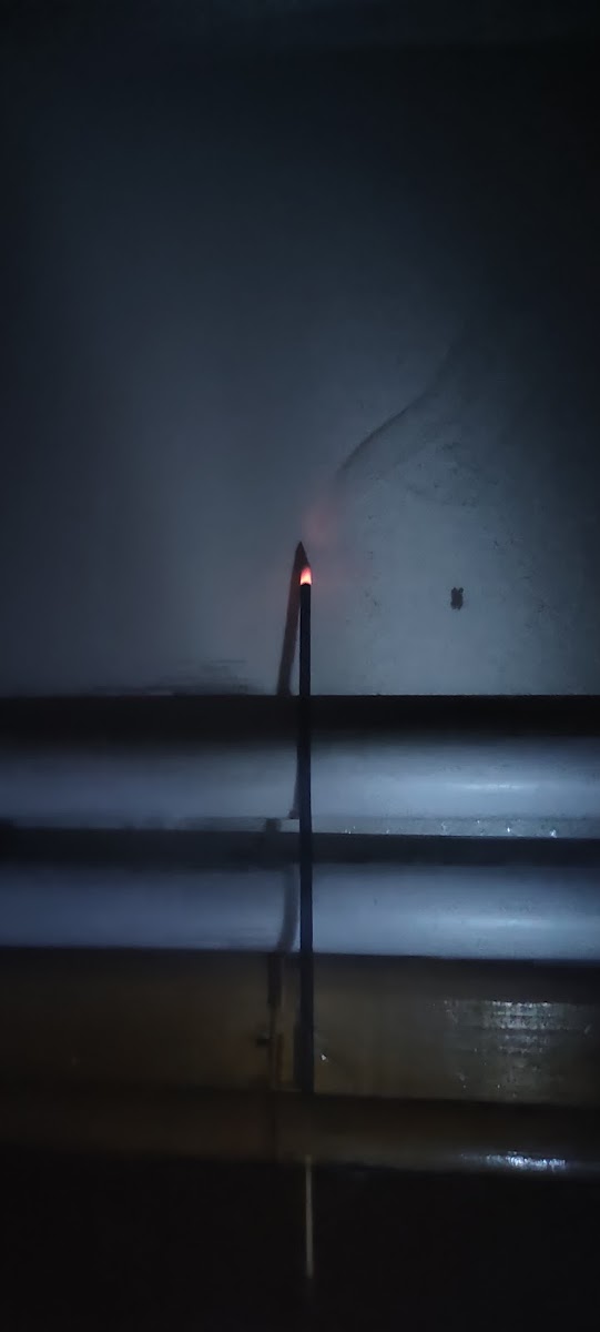 Gaziantep Galle Park — fotoğraf 2