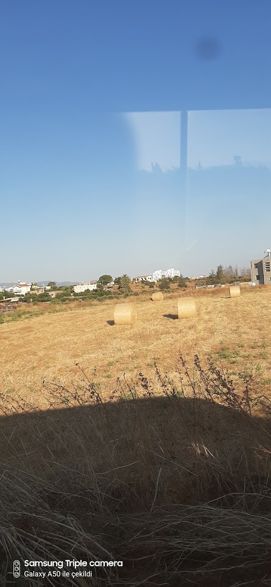 Gaziveren — photo 2