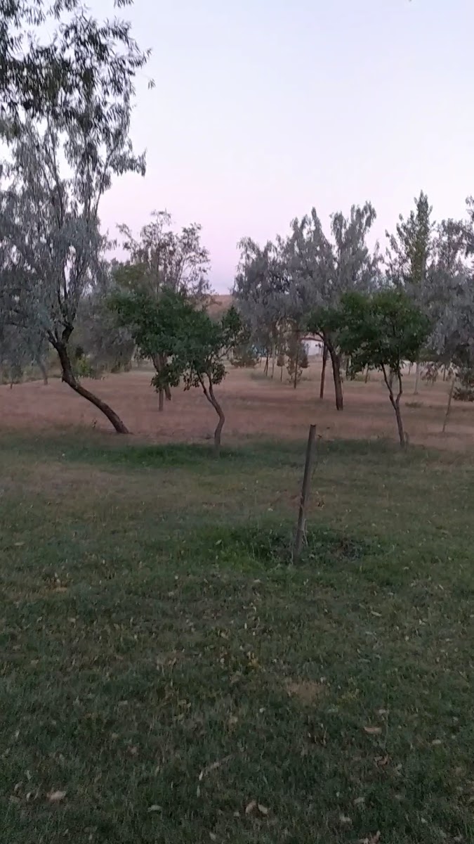 Gecek Termal Tesisleri — fotoğraf 3