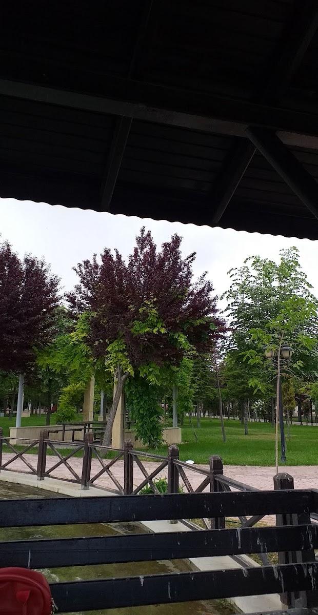 Gedavet Parkı — fotoğraf 4