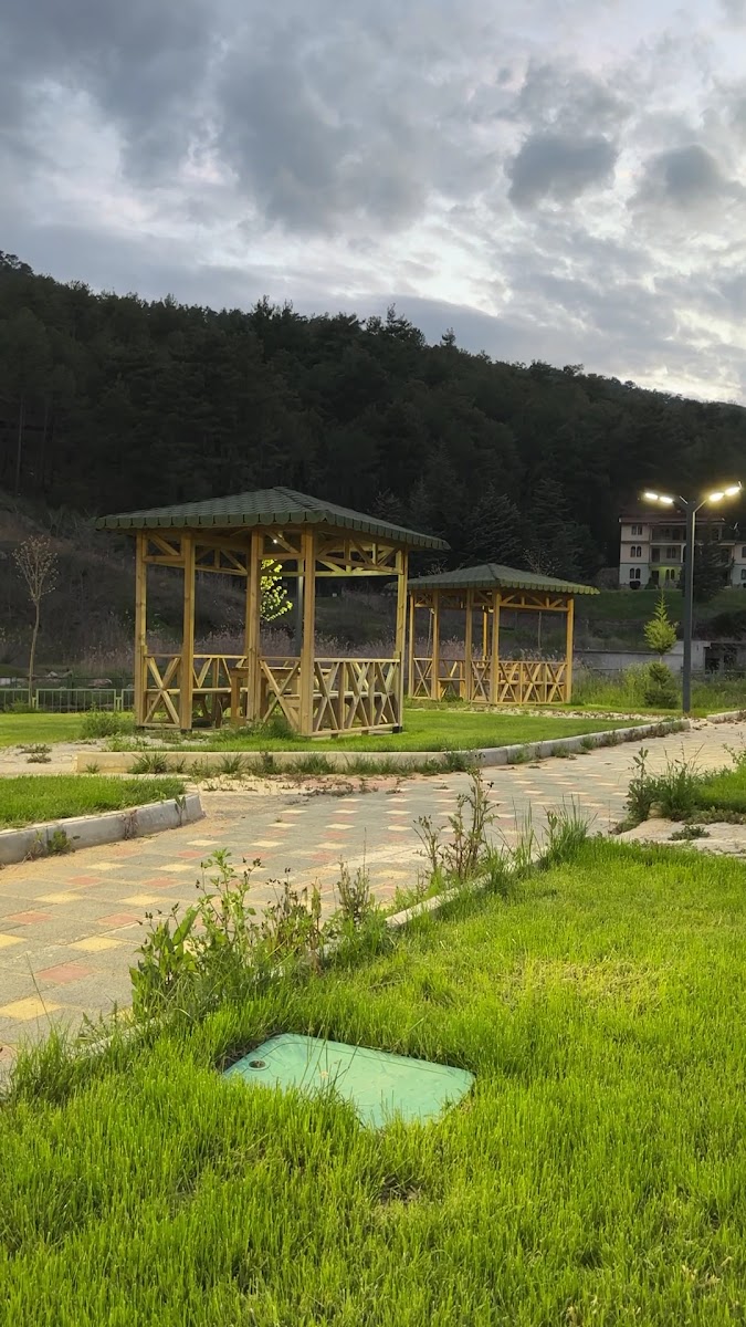 GEDİZ ILICA TERMAL TATİL KÖYÜ — fotoğraf 3