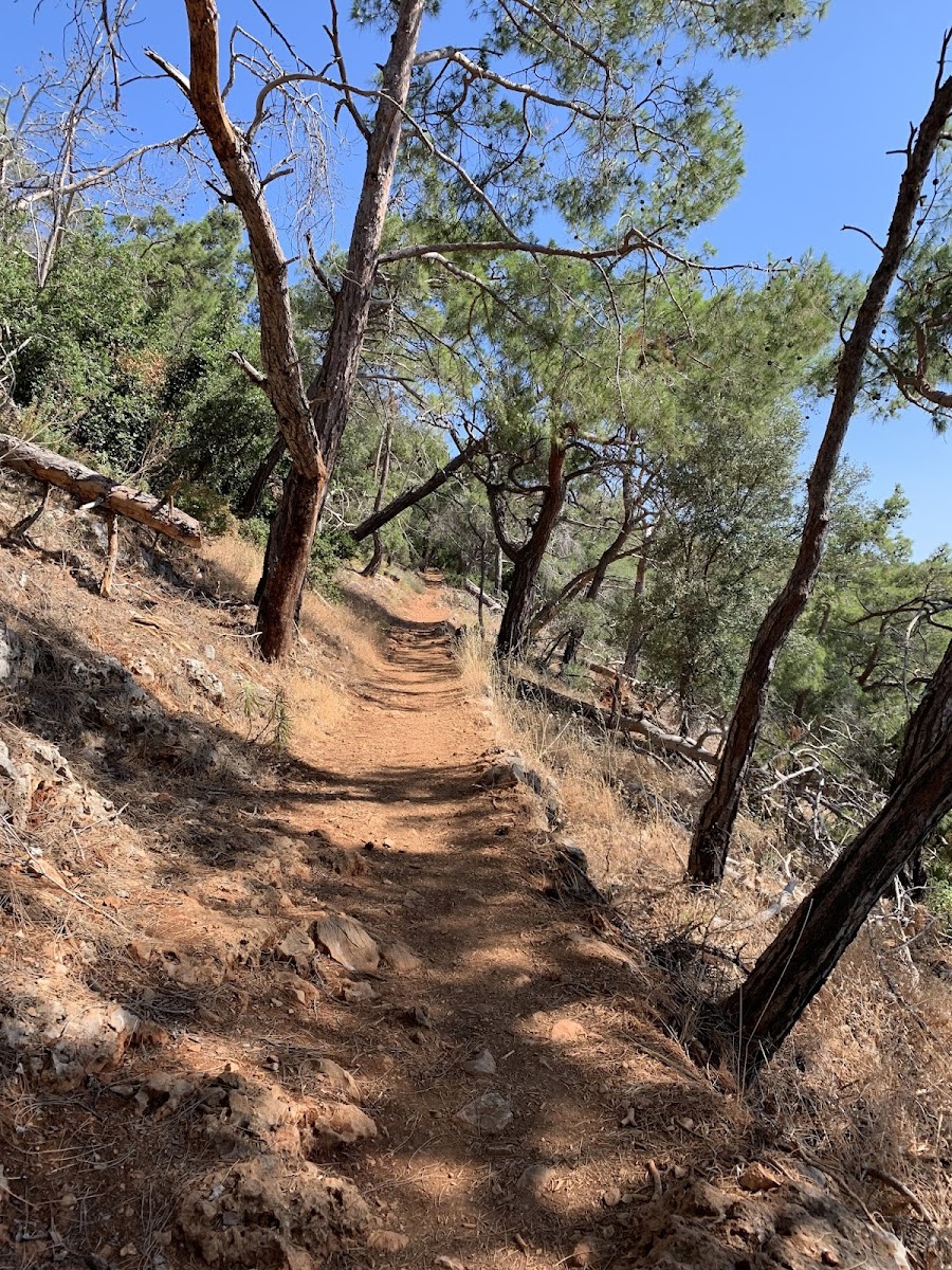 Gelidonya Feneri — fotoğraf 5