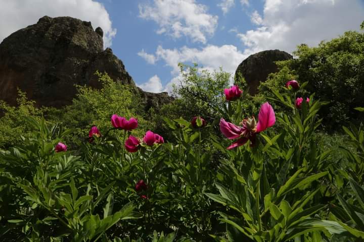Gelin Kayasi — photo 2