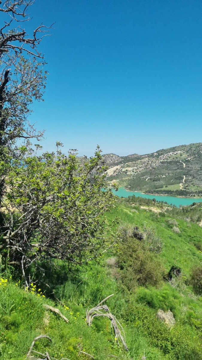 Gemikonağı Göleti — photo 2