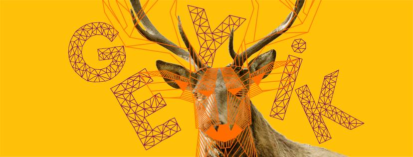 Geyik — fotoğraf 10