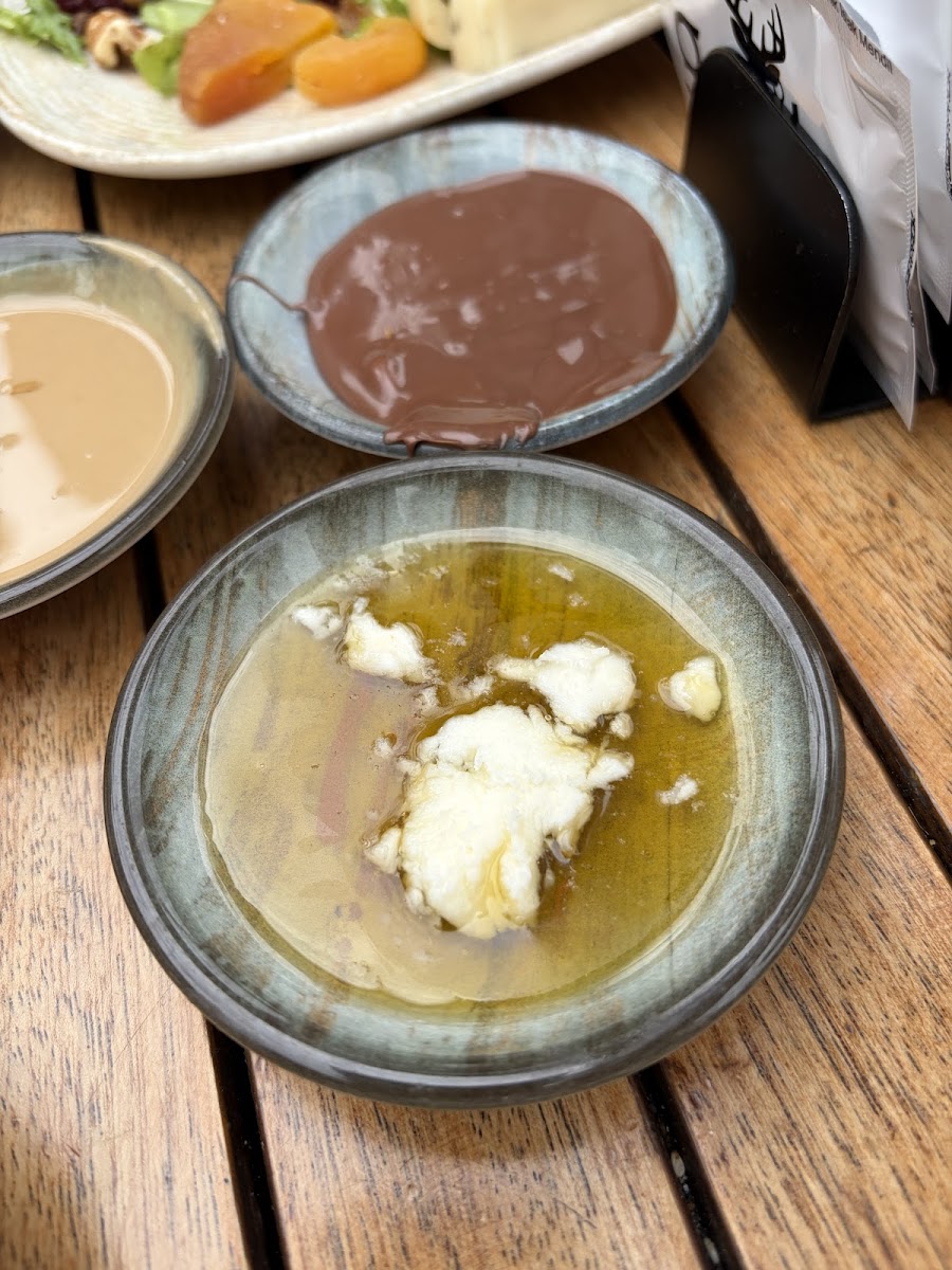 Geyik — fotoğraf 2