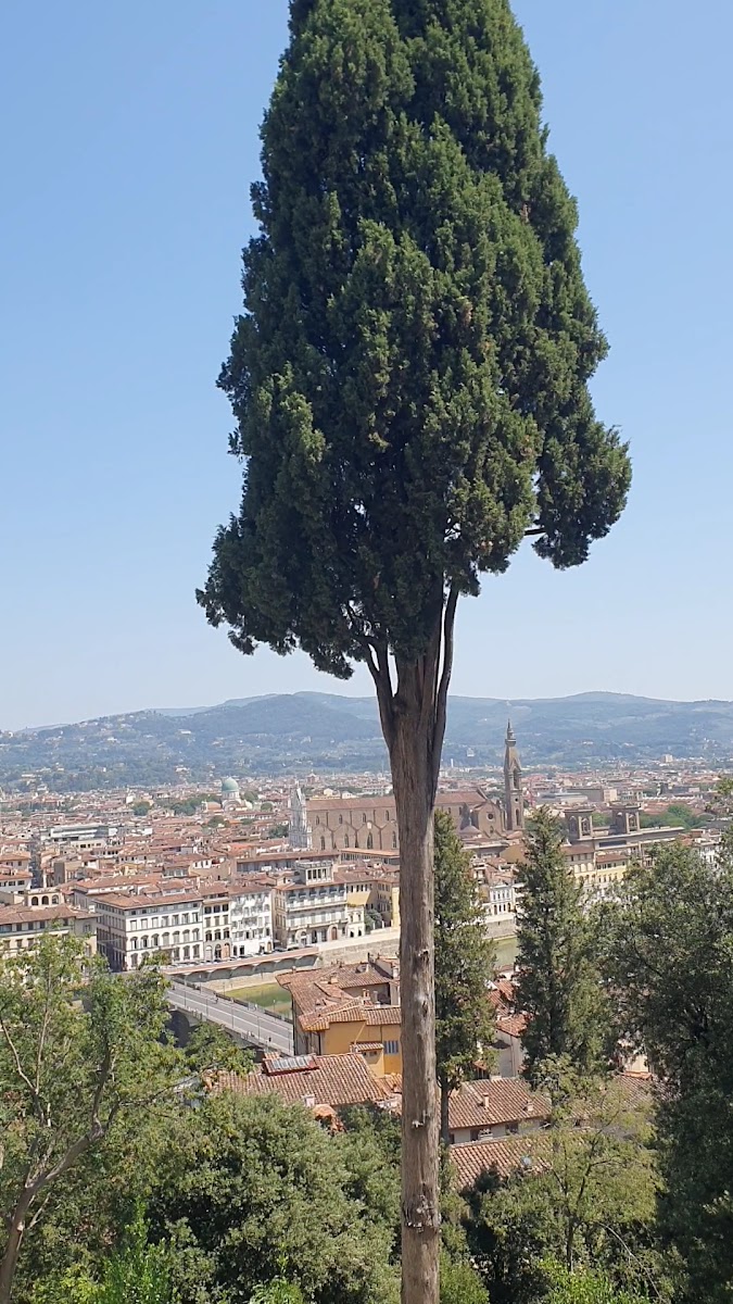 Giardino Bardini — photo 3