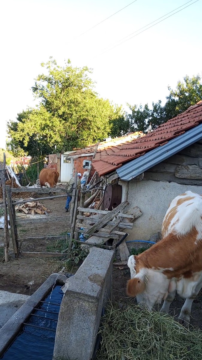 Gındıra Gölü Kamp Alanı — fotoğraf 3