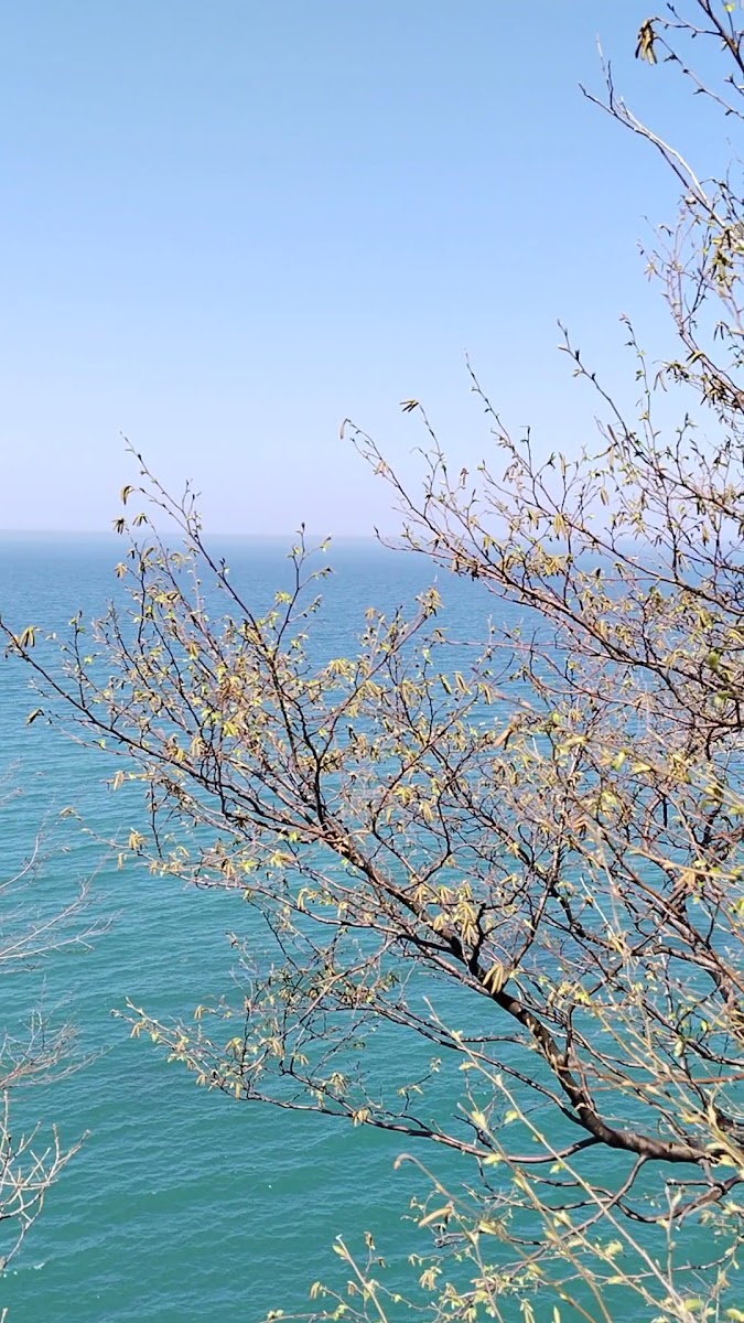Ginolu Koyu — fotoğraf 2