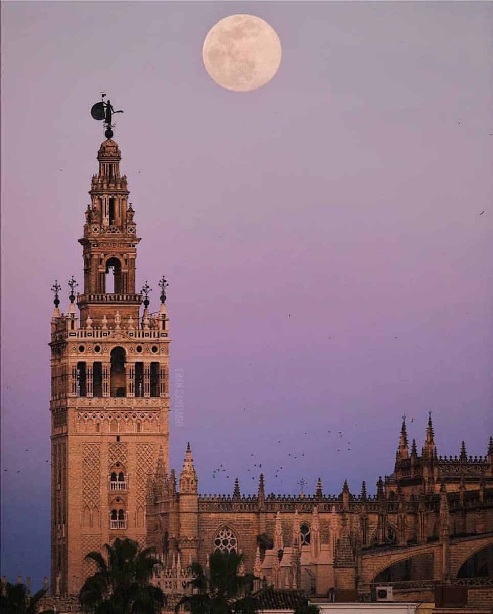 Giralda — photo