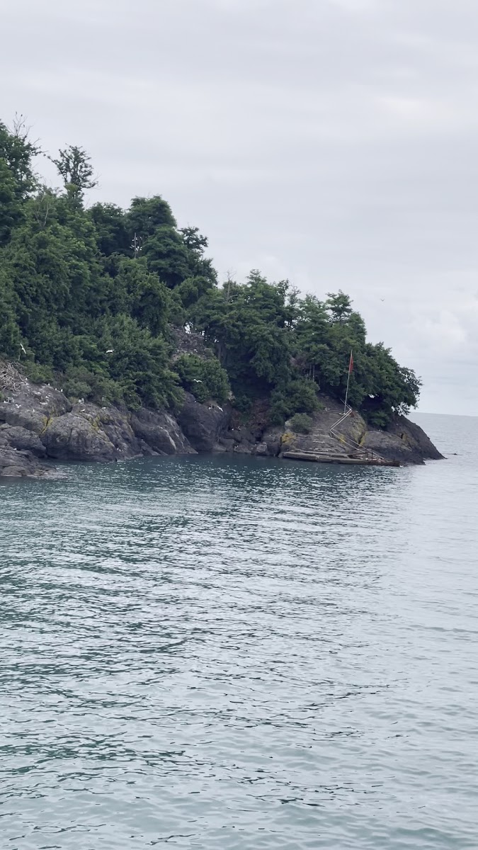 Giresun Adası — fotoğraf 3