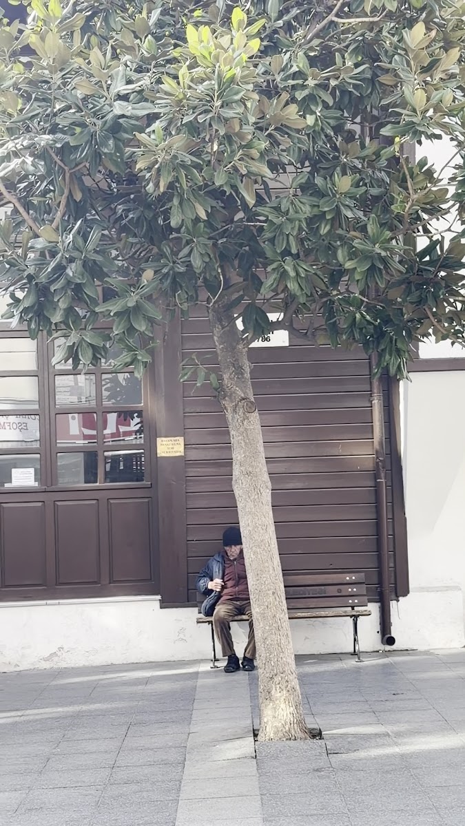 GLR OTEL — fotoğraf 2