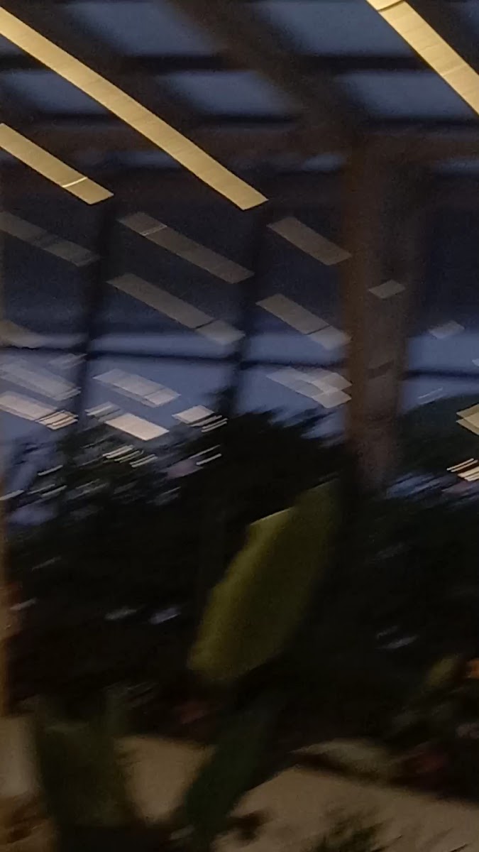 Gəncə şəhər Ekoloji Park Kompleksi — photo 4