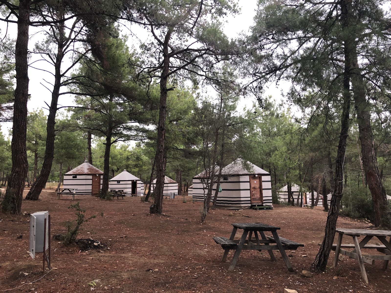 Gökçetepe Tabiat Parkı — fotoğraf 1