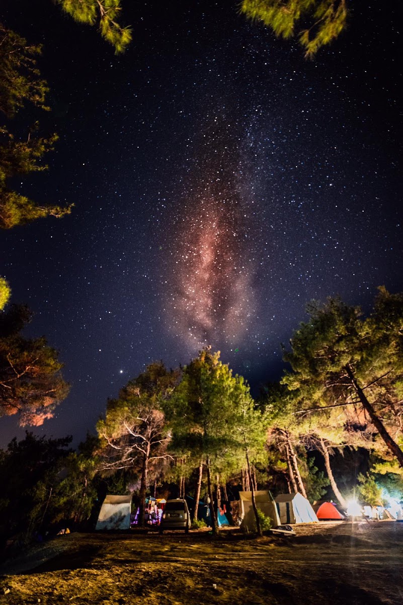 Gökçetepe Tabiat Parkı — fotoğraf 4