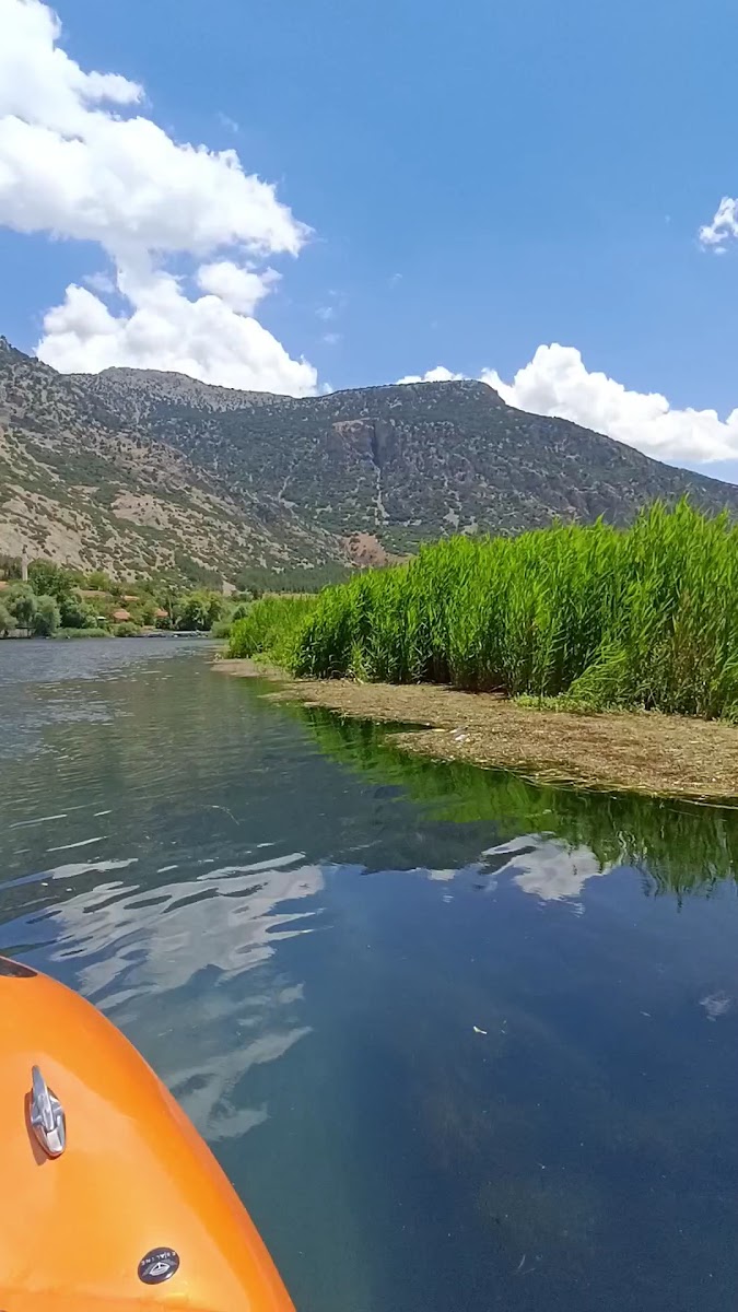 Gökgöl Balık lokantasi — fotoğraf 2
