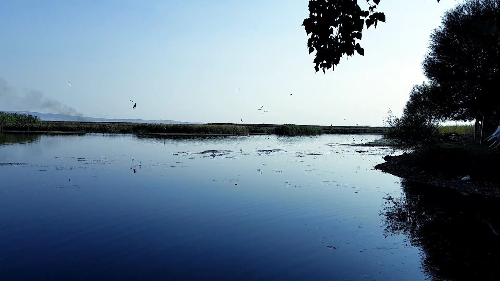 Gökgöl Balık lokantasi — fotoğraf 3