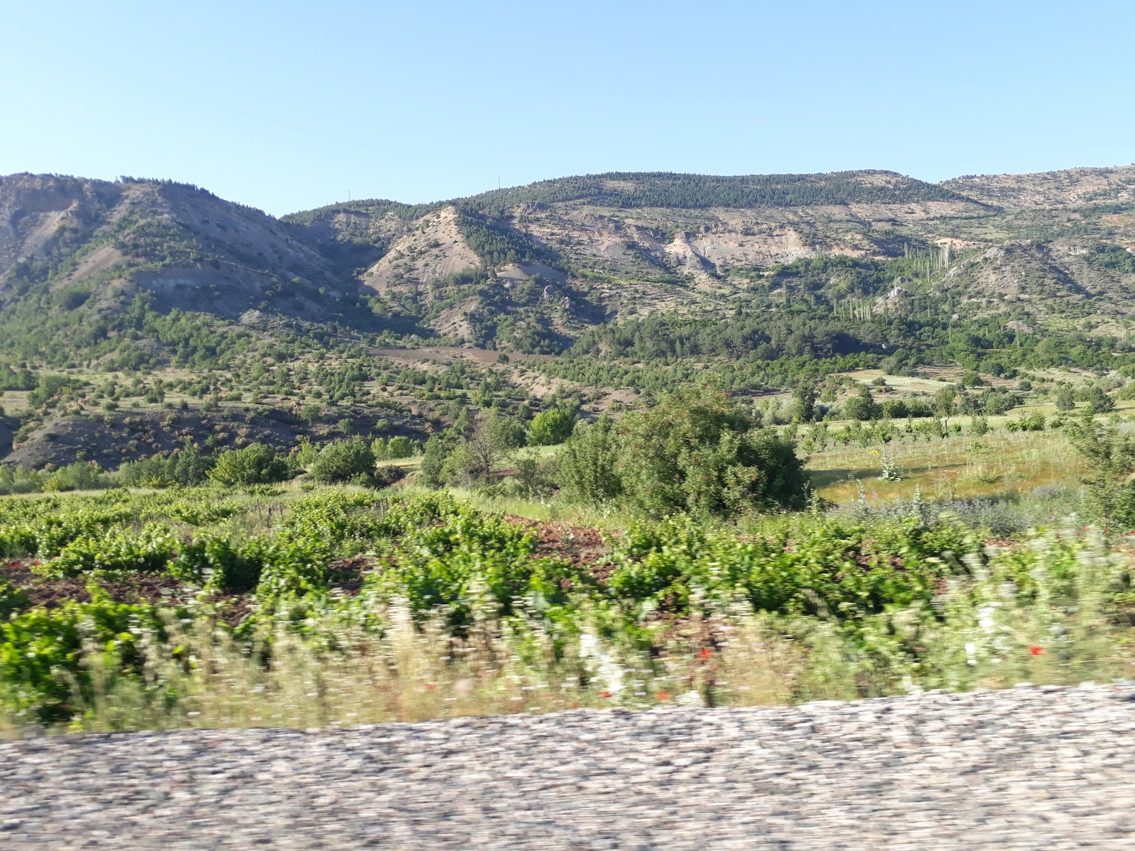 Göksu Çayı — photo 2