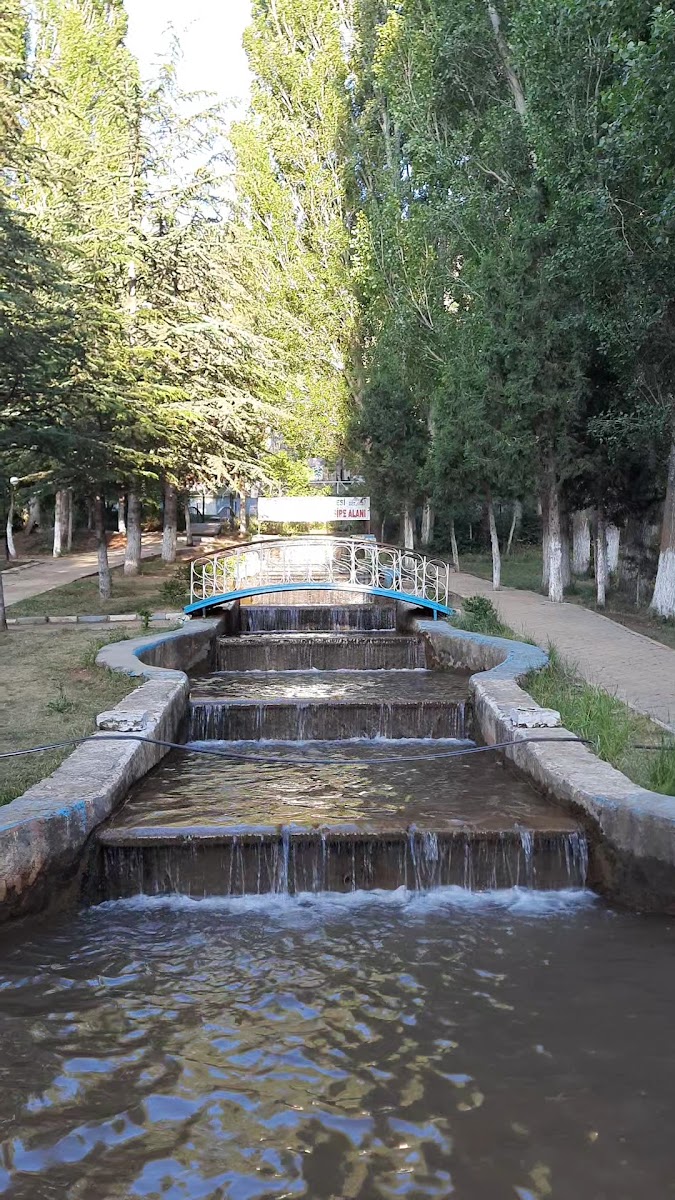 Göksun Belediyesi Alparslan Türkeş Mesire Alanı — fotoğraf 3