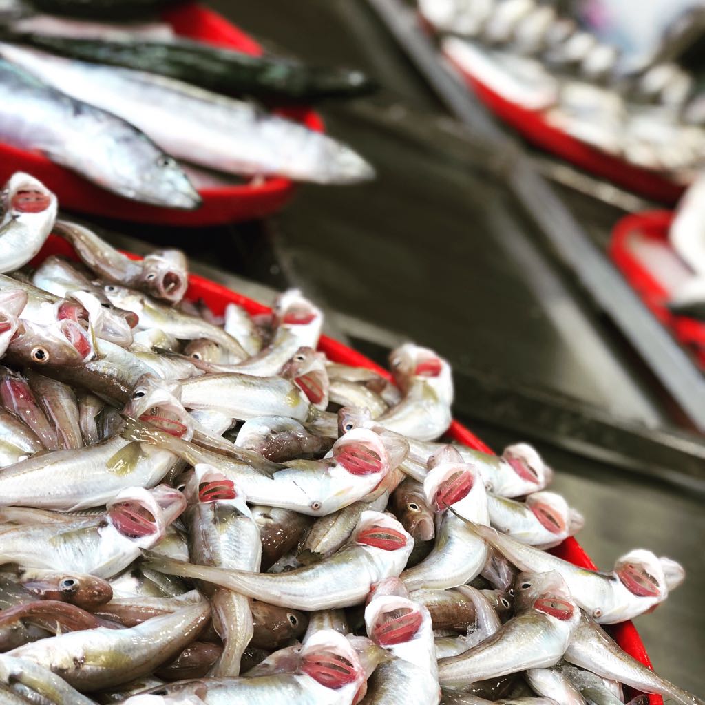 Göktuğ Balıkçılık & Osmanlı Pide — photo 4