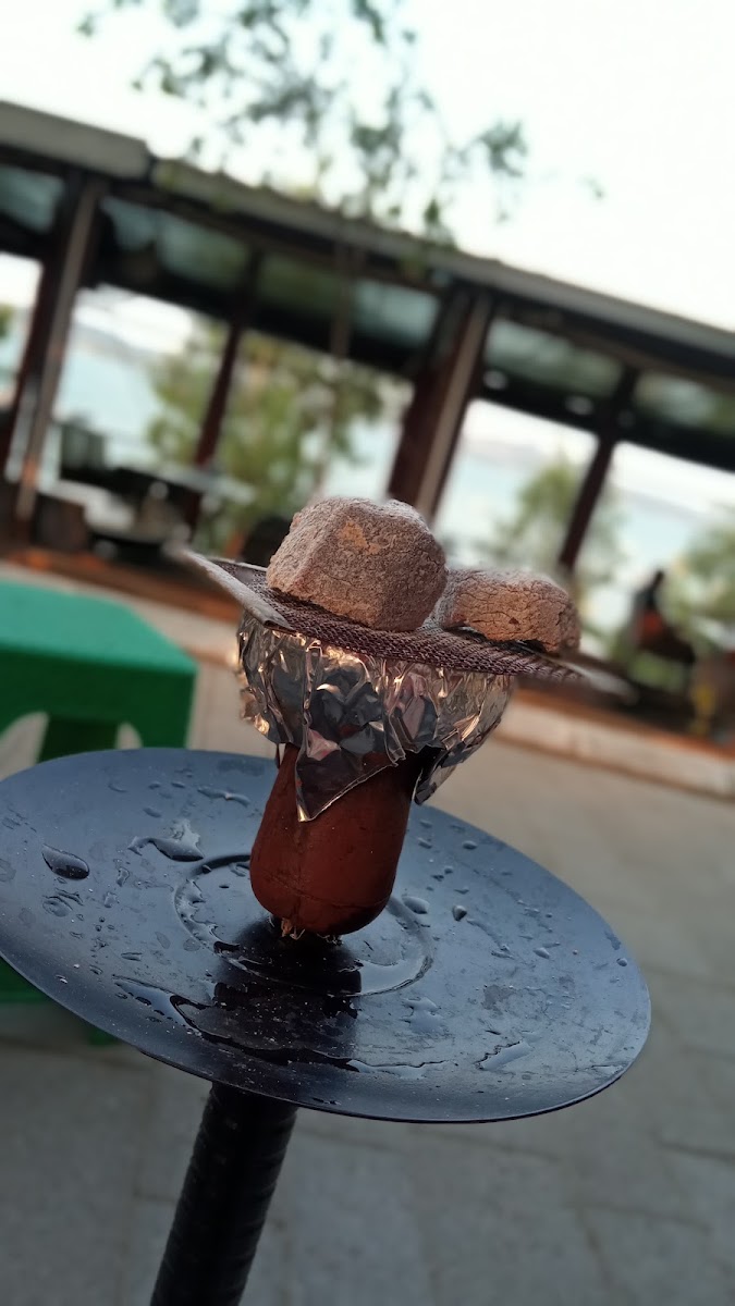 Gol kenari — photo 2