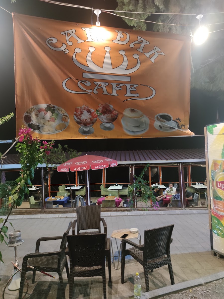 Gol kenari — photo 4