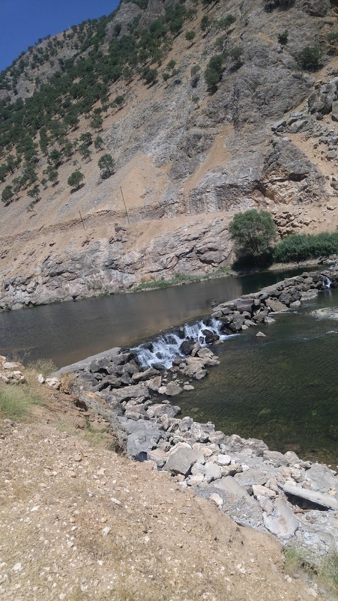 Golan Kaplıcası — fotoğraf 2