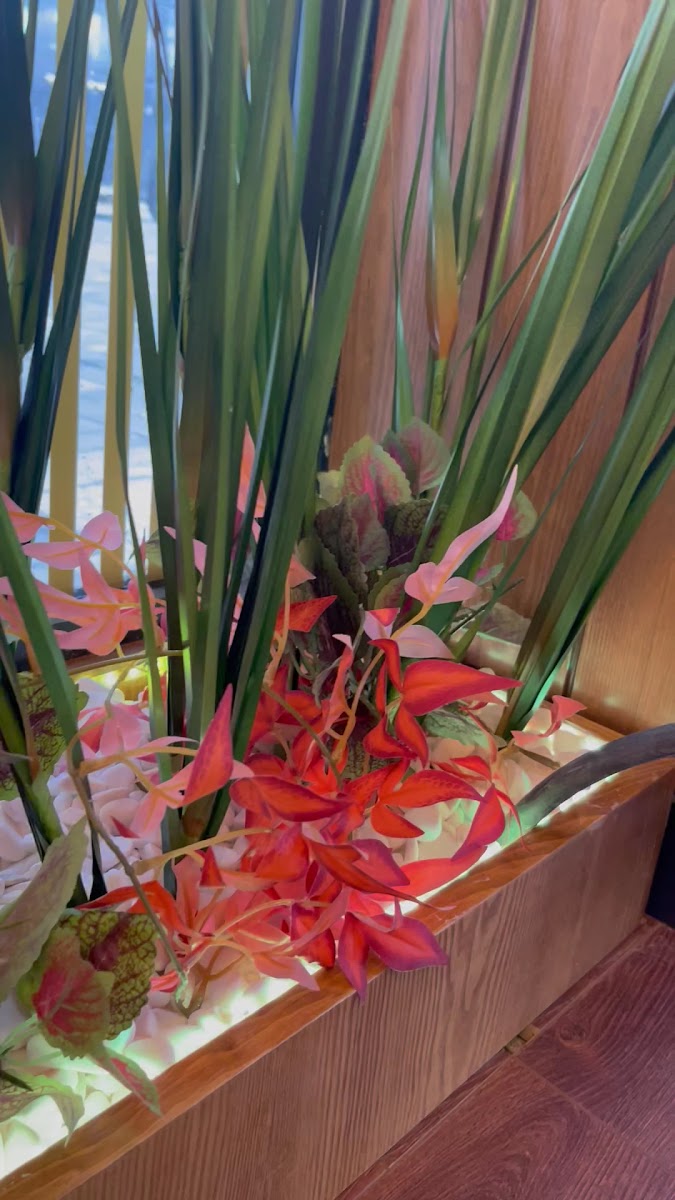 Golaz Suit Otel — fotoğraf 3