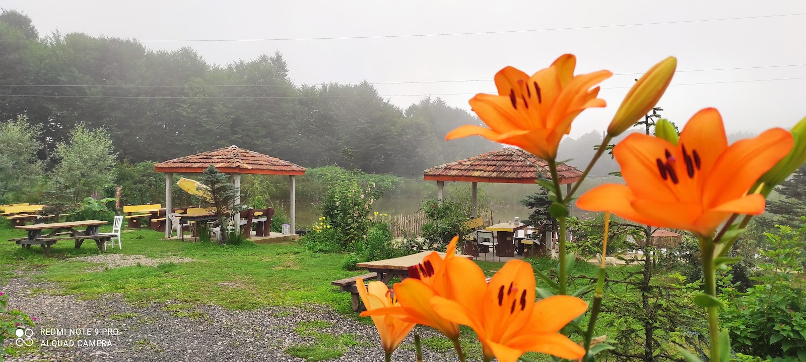 Gölbaşı kebap ocağı dumantepe — photo 8
