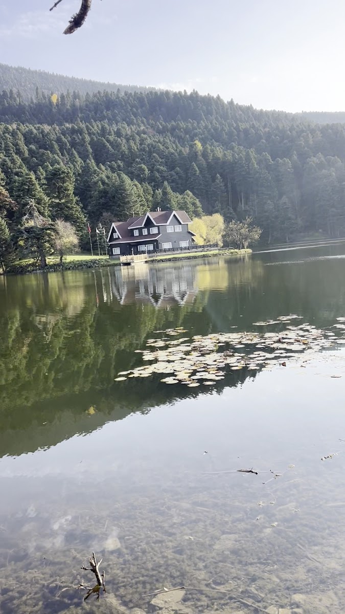 Gölcük Devlet Konukevi — fotoğraf 3