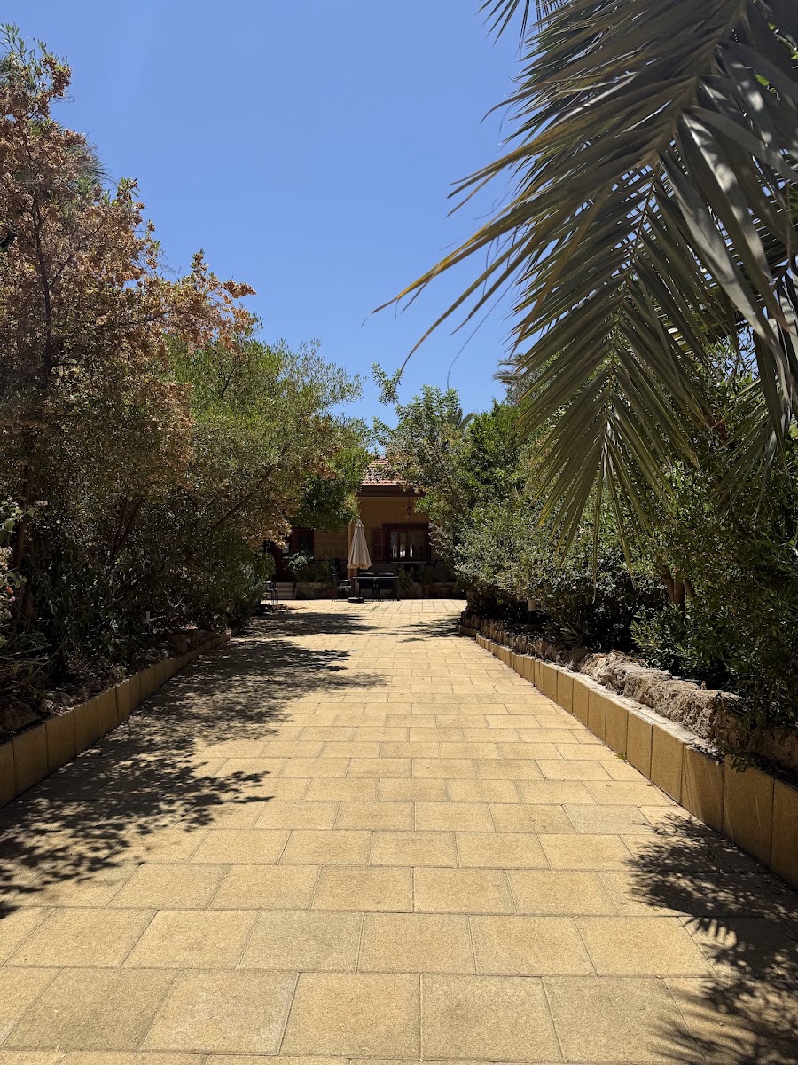 Golden Palms Guest House&Cafe — photo 2