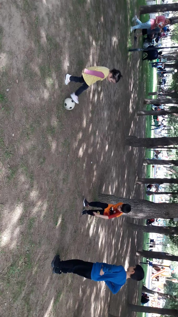 Gölet Park Alanı — fotoğraf 3