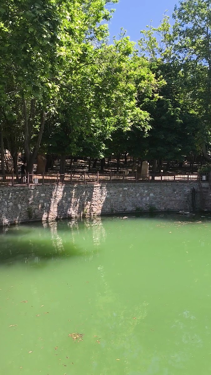 GÖLHİSAR PARKI — fotoğraf 2