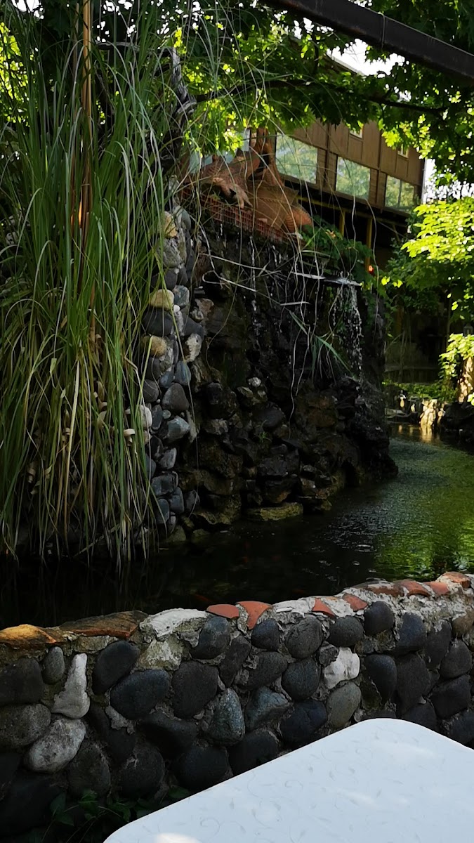 Gölova Et Mangal — fotoğraf 3