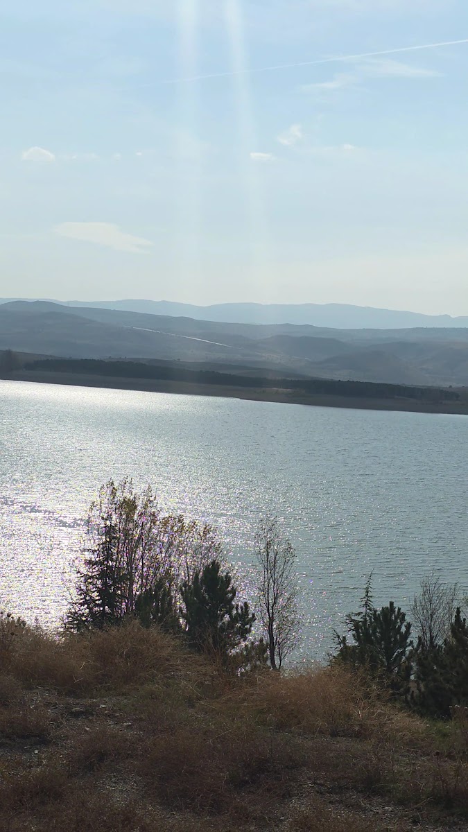 Golova sivas — photo 2