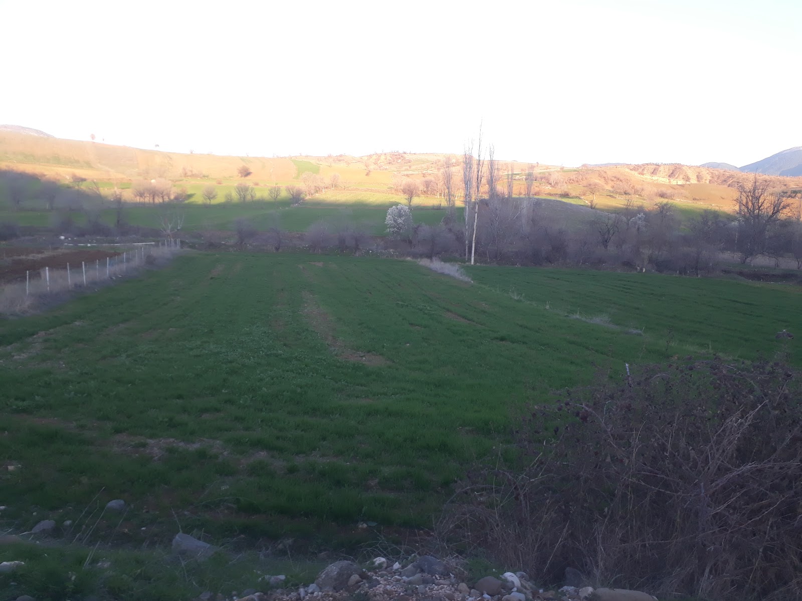 Gölünyazı Milli Parkı — fotoğraf 2