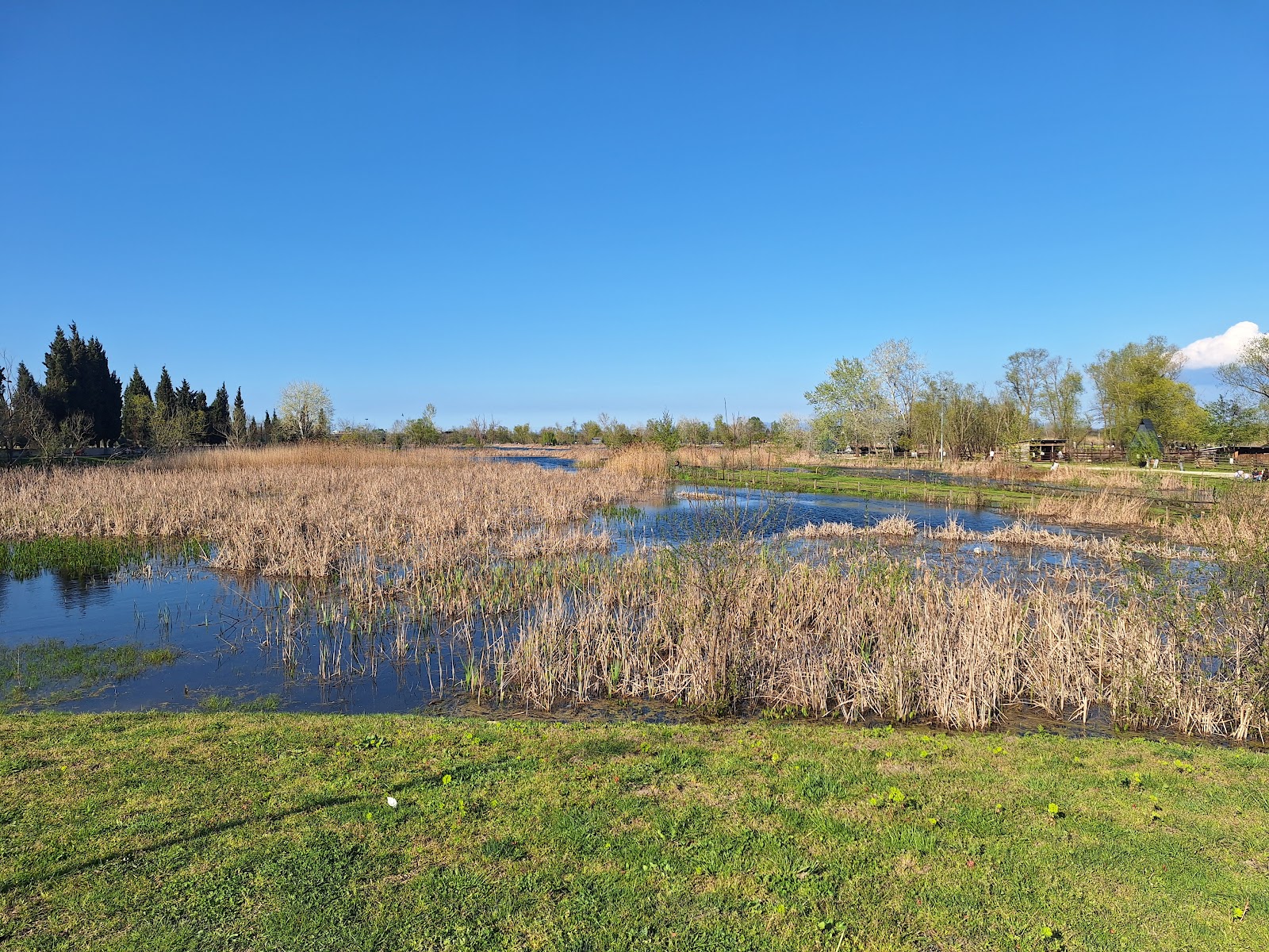 Gölya Tabiat Parkı — fotoğraf 2