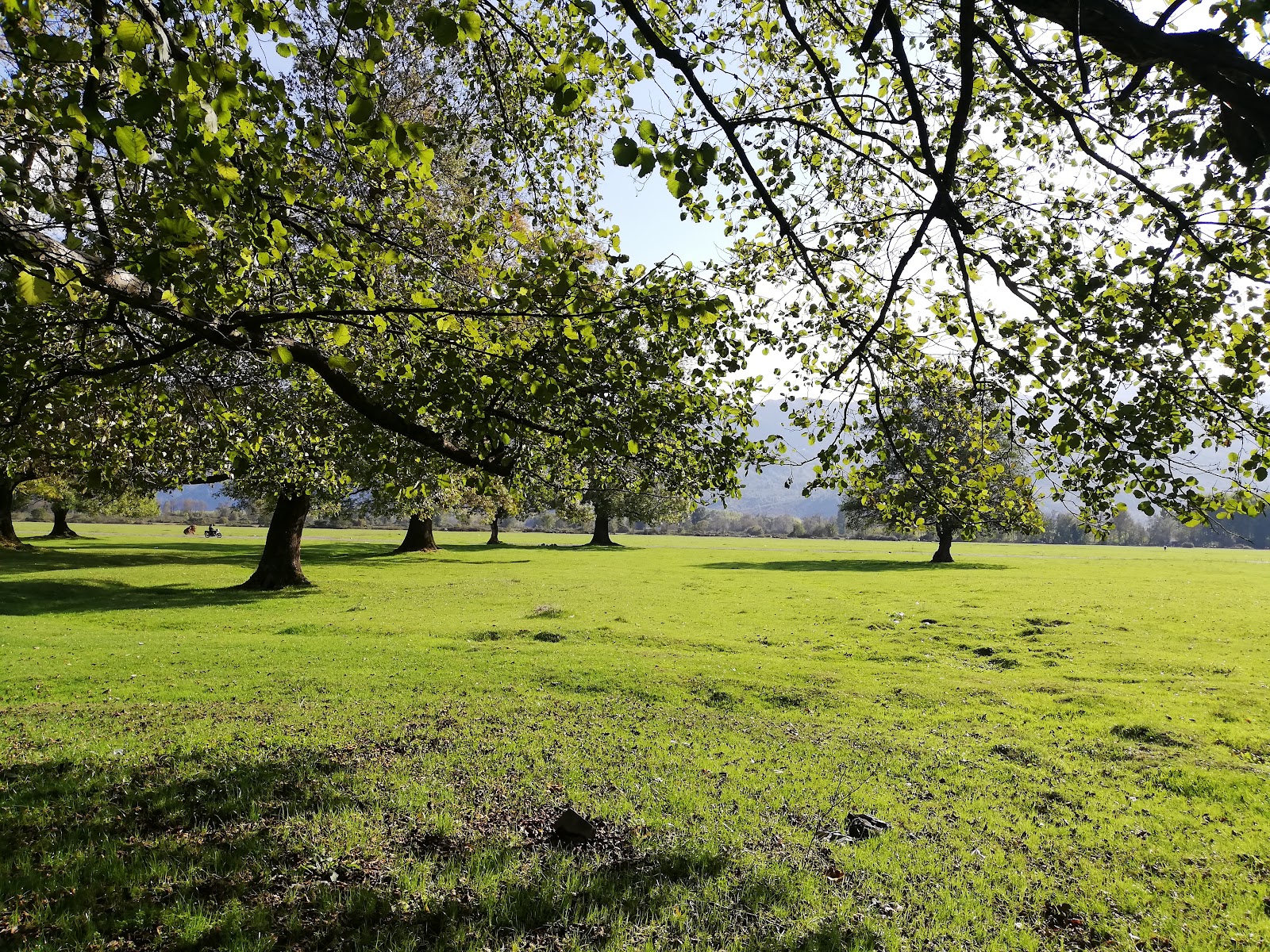 Gölyaka Kültür park — fotoğraf 1