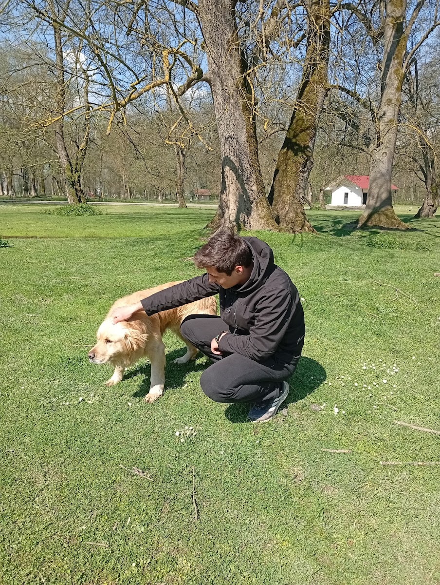 Gölyaka Kültür park — fotoğraf 2
