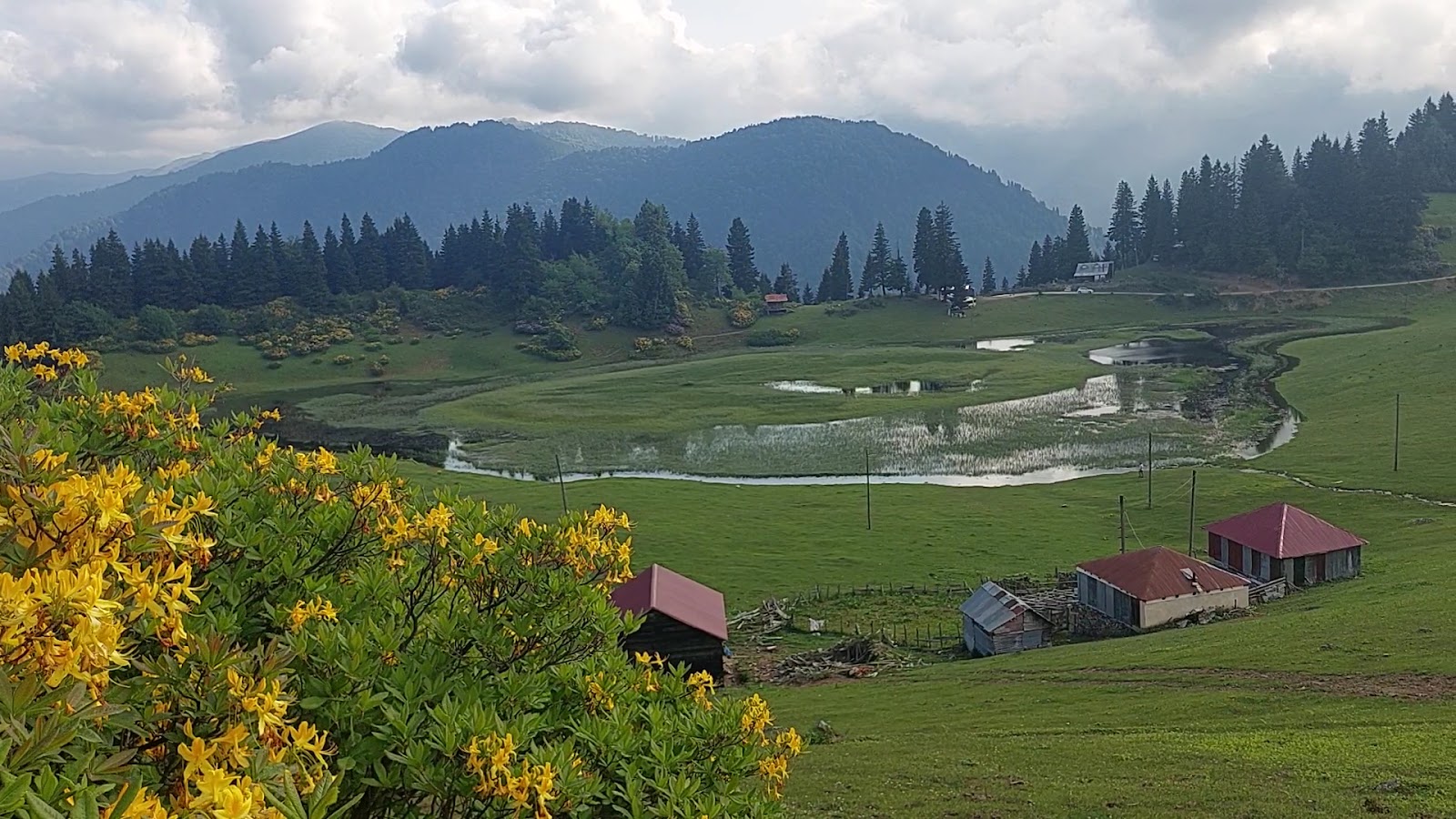 Gölyanı Yaylası — fotoğraf 3