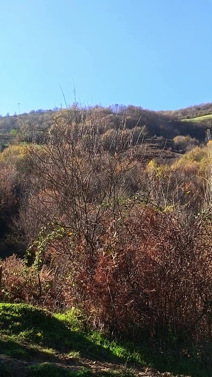 Gölyeri — photo 3