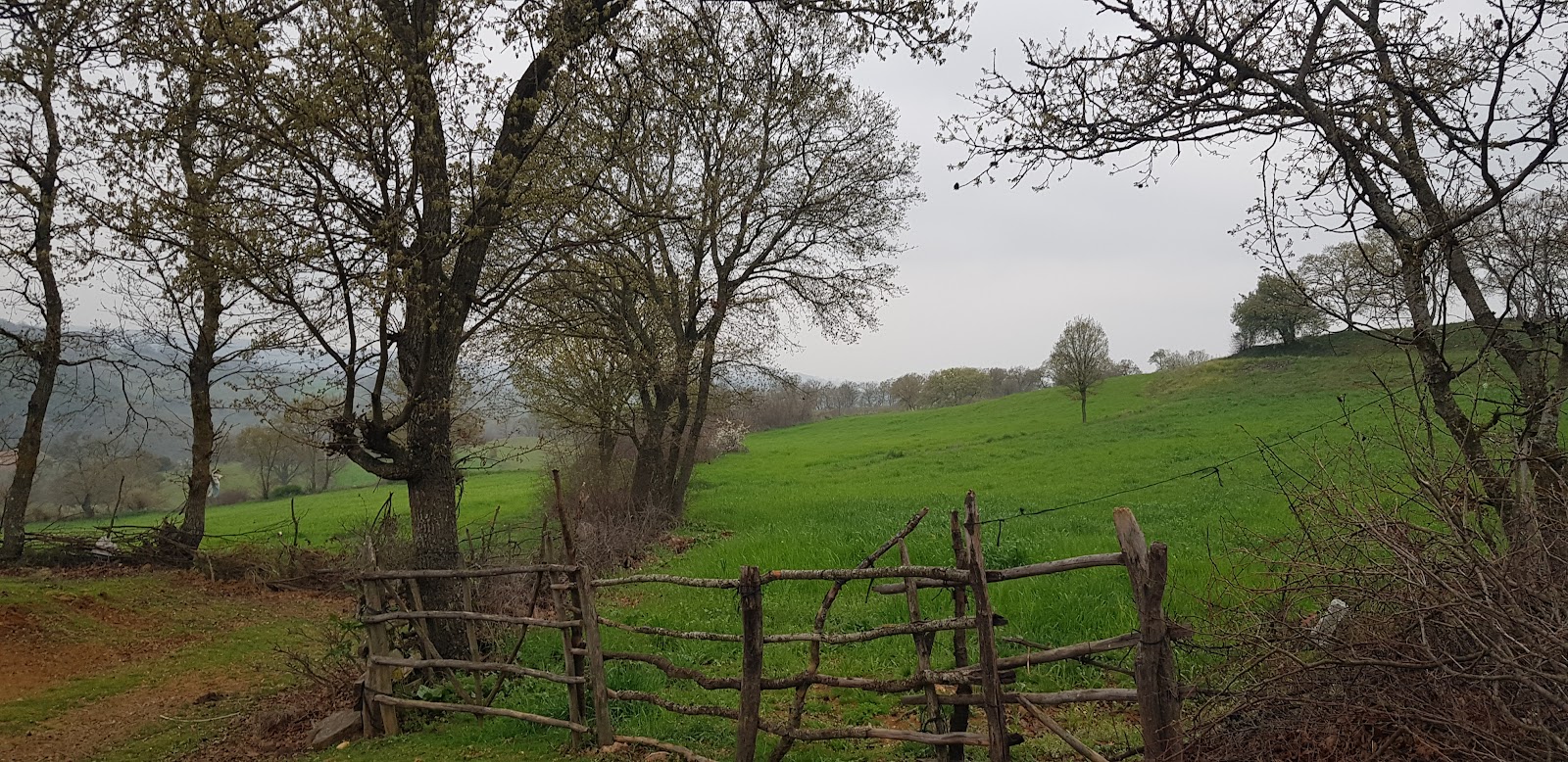 Gömeniç — fotoğraf