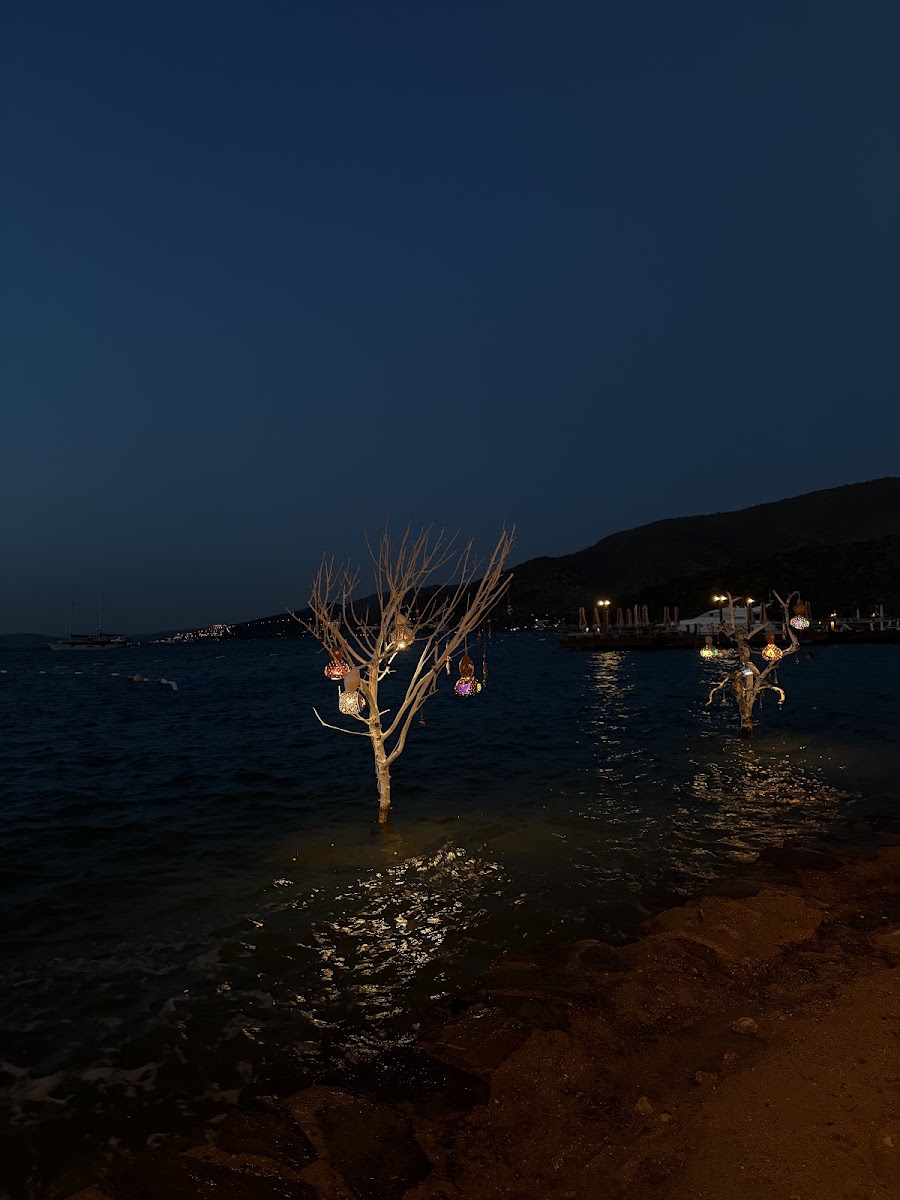 Gonca Balık Bodrum — photo 3