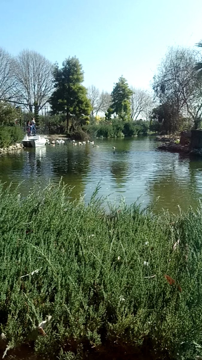 Gönül Hanı Park Restoran — fotoğraf 3