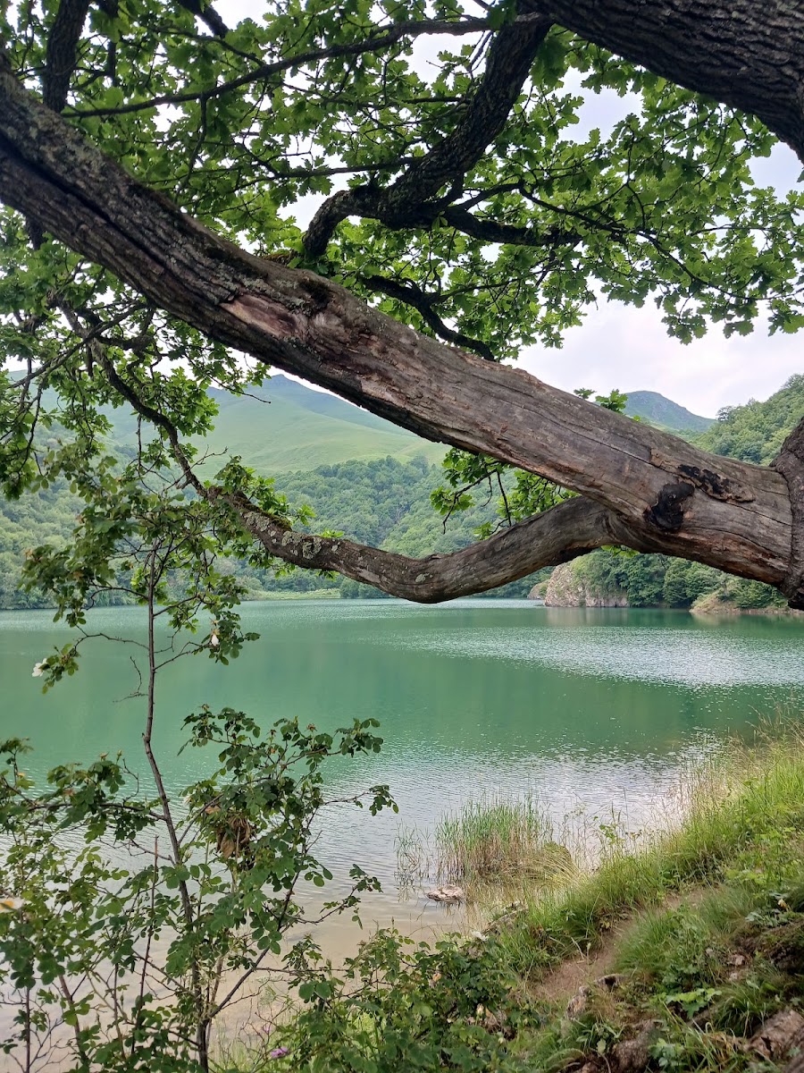 Göygöl Millî Parkı — photo 2